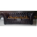 Windchester 311 Antikbraun Chesterfield Garnitur