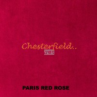 Paris Red Rose